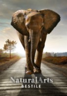 Bestile - Natural Arts