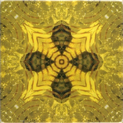 Yellow Glitz 3