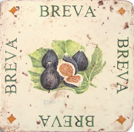 Breva