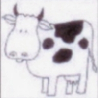 Vache gauche