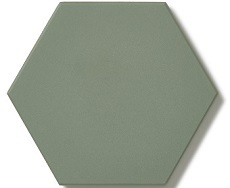 hex.10 Pale Green  VEP