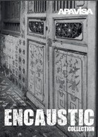 Brochure EANCAUSTIC Apavisa